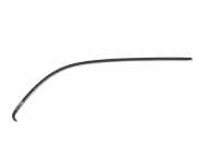 Türfensterleiste hinten rechts JAGUAR XJ (X350) 4.2 C2C25606