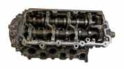 Motorkopf AUDI A6 Avant (4F5, C6) 3.0 TDI quattro 026160704