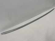 Dachleiste links BMW 1 Cabrio (E88) 120 d