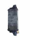 Ladeluftkühler MERCEDES-BENZ M (W164) ML 450 CDI 4-matic (164.128) E9736