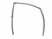 Türgummi rechts vorne Nissan Pathfinder III (R51)