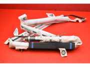 Airbag Dach links Tesla Model S (5YJS) 100526100D