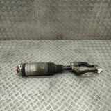 Front left pneumo shock absorber LAND ROVER RANGE ROVER SPORT II (L494) 5.0 SCV8 4x4 JK6M-3C286-AD
