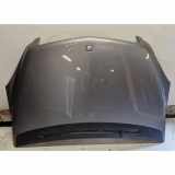 Motorhaube MERCEDES-BENZ B (W245) B 180 CDI (245.207)