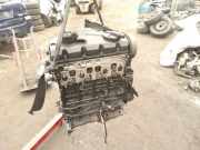 Motor ohne Anbauteile (Diesel) VW Passat B5.5 (3B3) AVB