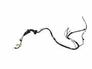 Kabel Tür Toyota RAV 4 III (A3) 8215242890