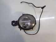 Nebelscheinwerfer links vorne BMW X5 (E70) 6924656