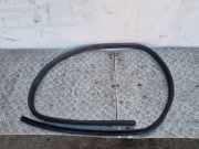 Türgummi links vorne Ford Focus IV (HN) B249