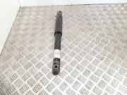 Stoßdämpfer hinten rechts CITROËN C5 II (RC_) 1.6 HDi (RC8HZB) 281700315165