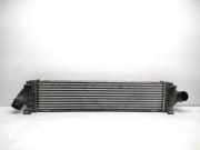 Ladeluftkühler Volvo V70 III (135) 30671324