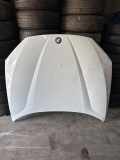 Motorhaube BMW X1 (E84) xDrive 18 d