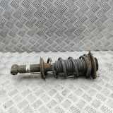 Stoßdämpfer hinten links TOYOTA GT 86 Coupe (ZN6_) 2.0 GT (ZN6AC_, ZN6BC_) 20365-CA100