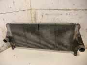 Ladeluftkühler RENAULT LAGUNA II (BG0/1_) 1.9 dCi (BG08, BG0G) 0165762 A5328