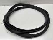 Türdichtung Land Rover Discovery II (L318)