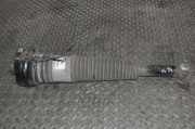 Pneumo-Stoßdämpfer hinten links AUDI A8 D4 (4H_) 3.0 TDI quattro 4h0616001m