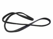 Türgummi links vorne Citroen Jumpy II Kasten ()