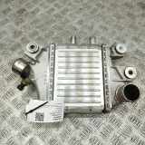 Ladeluftkühler Isuzu D-Max II (TFR, TFS) 8975340130