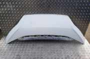Motorhaube Fiat Ducato Kasten (244)
