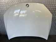 Motorhaube BMW X1 (E84) xDrive 18 d 9231859