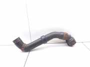 Schlauch Kühlung AUDI A3 (8L1) 1.6 1J0121619