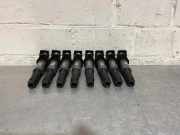 Zündspule BMW 5 (E60) 550 i 0221504100