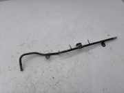 Kraftstoffleitung Lexus IS 2 (E2)