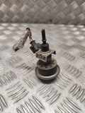 AdBlue Einspritzdüse LAND ROVER DISCOVERY V (L462) 2.0 D 4x4 09193954
