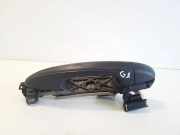 Türgriff rechts hinten Toyota C-HR (X1)