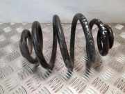 Fahrwerksfeder hinten rechts