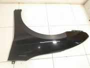 Kotflügel vorne links