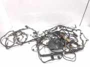 Kabelbaum FIAT BRAVO II (198_) 1.6 D Multijet 51792824