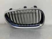 Vorderer oberer Gitter