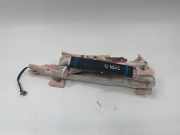 Dach SRS rechts TESLA MODEL S 85 1005262-00-C 100526200C