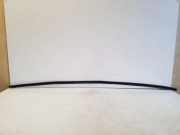 Heckklappengummi JAGUAR XJ (X351) 3.0 D AEAS024214