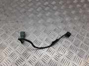 Klopfsensor AUDI A6 (4F2, C6) S6 quattro 06E905377A