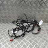 Kabelbaum Tesla Model S (5YJS) 100442800R