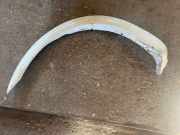 Front Arch Liner TOYOTA YARIS VERSO (_P2_) 1.5 (NCP21_)