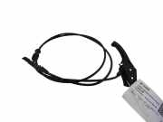 Griff Klappenzug Renault Grand Scenic II (JM)