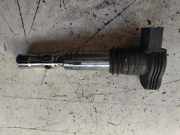 Hochspannungszündkabel (Steckkabel) AUDI A6 (4B2, C5) S6 quattro