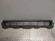 Vorderer oberer Gitter TOYOTA LAND CRUISER (_J15_) 3.0 D-4D (KDJ150_)