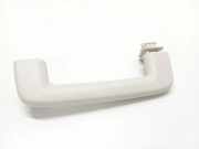 Griff Panoramadach Ford Focus III Turnier (DYB)