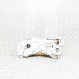 Vordere Motorabdeckung NISSAN QASHQAI II (J11, J11_) 1.3 DIG-T DCT GD01926 A2820101301