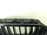 Kühlergrill komplett BMW 5er Touring (F11) 0153510