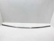 Windschutzscheibenverkleidung MERCEDES-BENZ SL (R230) 500 (230.471) A2307200978 2307200978