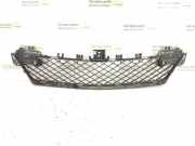 Gitter vorne unten MERCEDES-BENZ C (W204) C 300 CDI 4-matic (204.092) A2048851324 2048851324