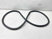 Dichtungsgummi der hinteren Tür (an der Karosserie) MERCEDES-BENZ A (W177) A 220 4-matic (177.045) A1776920300 E06925A