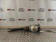 pneumatischer Stoßdämpfer hinten links