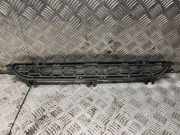 Gitter vorne unten BMW X3 (F25) xDrive 20 d 8048096