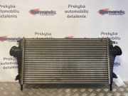 Ladeluftkühler Opel Insignia A Sports Tourer (G09) 13241751