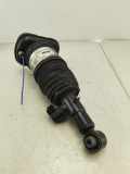 Rear right pneumo shock absorber BMW X7 (G07) xDrive 40 i 7831561